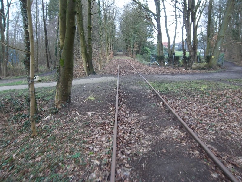 ZWNEGI32